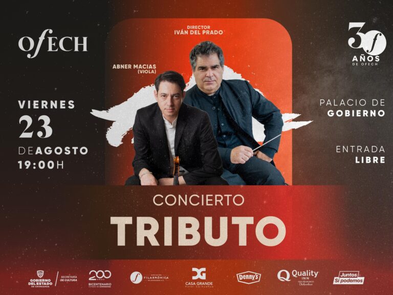 bannerconciertotributoofech