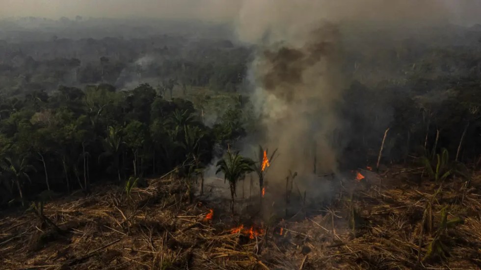 Fotografía aérea muestra hoy uno de los incendios causados en la selva amazónica, en el municipio de Manaquiri cerca a Manaos, estado de Amazonas (Brasil). EFE/Raphael Alves