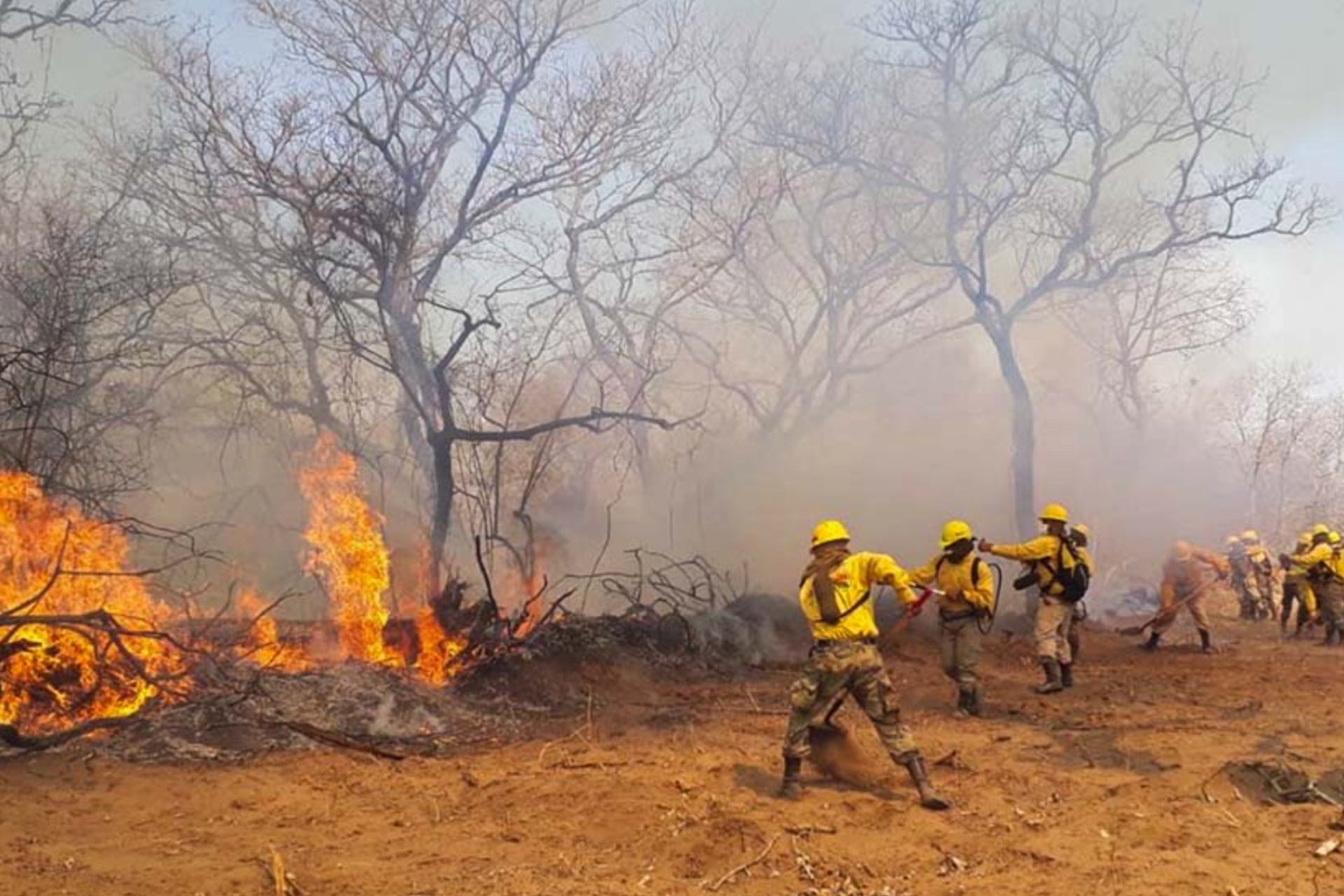 Incendios han devastado 10.1 millones de hectáreas en Bolivia