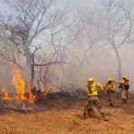 Incendios han devastado 10.1 millones de hectáreas en Bolivia