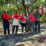 Pizcadores de tomate logran mejoras laborales en California pese a redadas migratorias Pizcadores de tomate logran mejoras laborales en California pese a redadas migratorias
