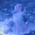 Video: EE.UU. hunde otra supuesta narcolancha cerca de Venezuela; hay cuatro muertos Video: EE.UU. hunde otra supuesta narcolancha cerca de Venezuela; hay cuatro muertos