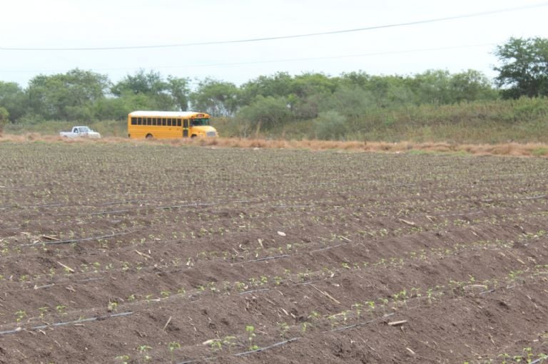 f768x1-232673_232800_5050