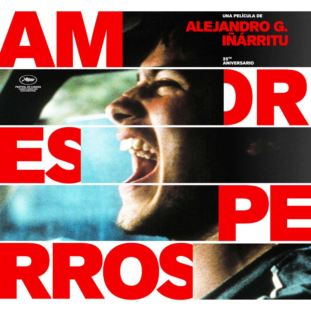 Iñárritu y Guillermo Arriaga se reconcilian a 25 años de 'Amores Perros' - nuevo-poster-de-amores-perros