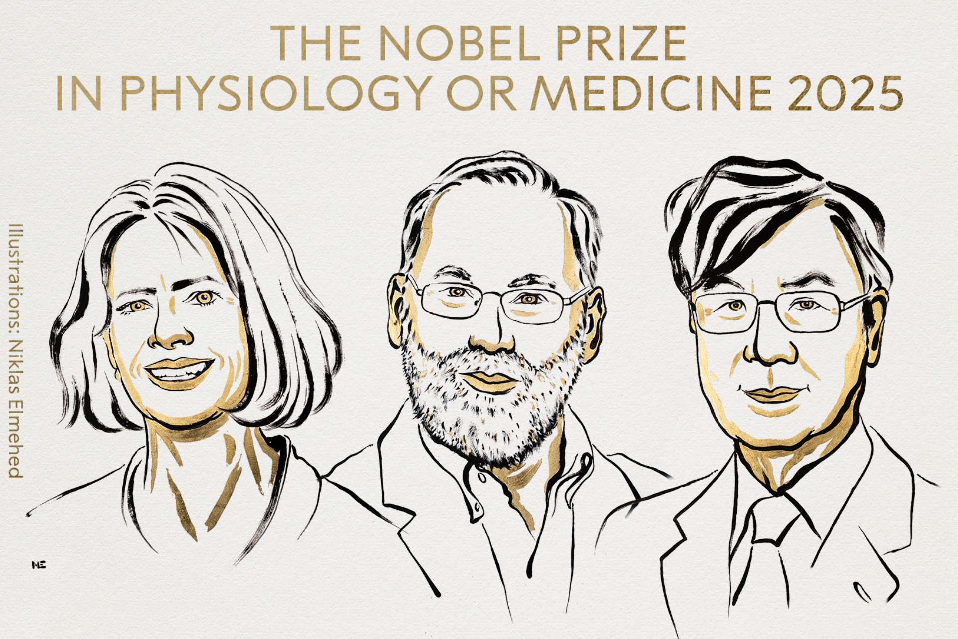 Dan Premio Nobel de Medicina 2025 a tres científicos por su trabajo sobre la tolerancia inmunológica periférica