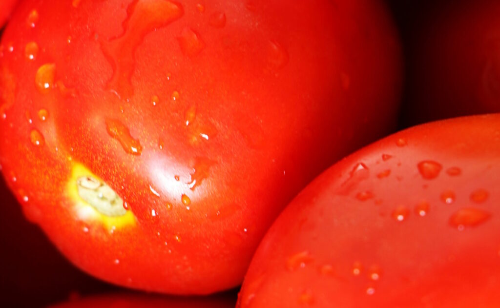 productores-alertan-un-alza-de-precios-y-riesgo-alimentario-por-cuota-al-jitomate-1024x631-1 Pizcadores de tomate logran mejoras laborales en California pese a redadas migratorias - productores-alertan-un-alza-de-precios-y-riesgo-alimentario-por-cuota-al-jitomate-1024x631