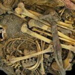 Microbioma intestinal de joven del México precolombino desvela cambios evolutivos Microbioma intestinal de joven del México precolombino desvela cambios evolutivos