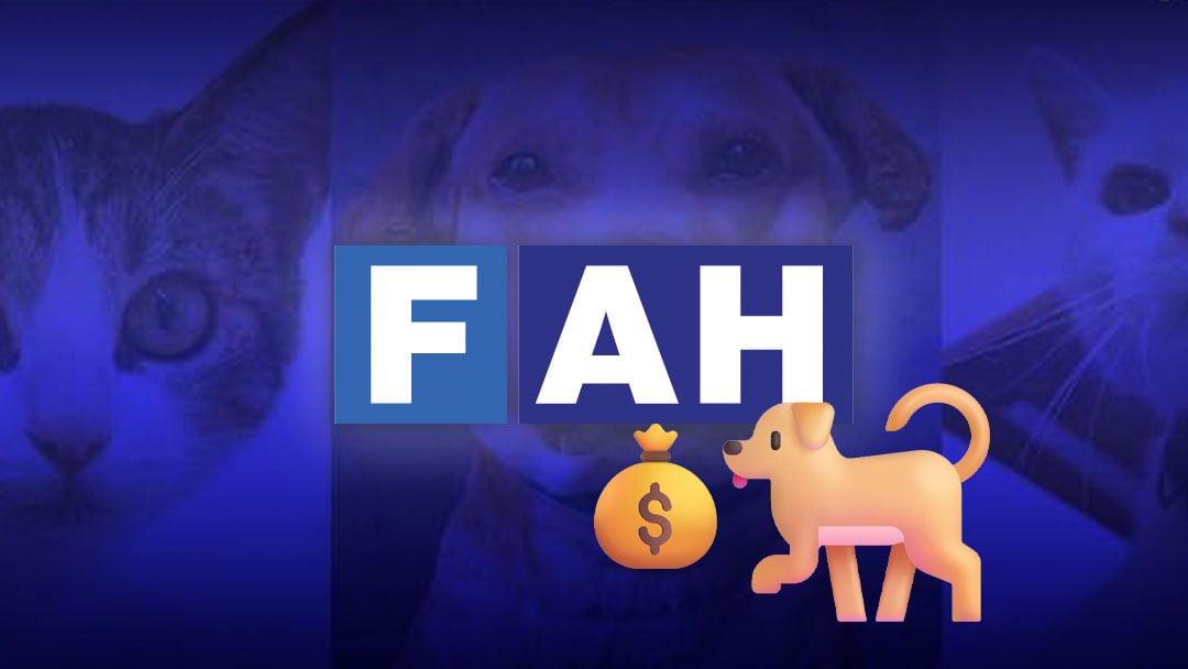 c57iazetabbuja7yk2s65fyfsm Refugio Franciscano denuncia irregularidades fiscales de Fundación Haghenbeck