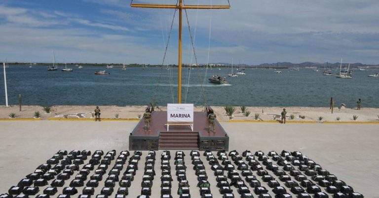 mwsaf5d6xnhgvdr24fe4m76m6i