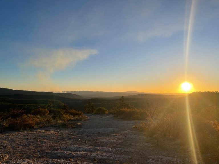 whatsapp20image202024-04-2020at2010-39-5320am2028429