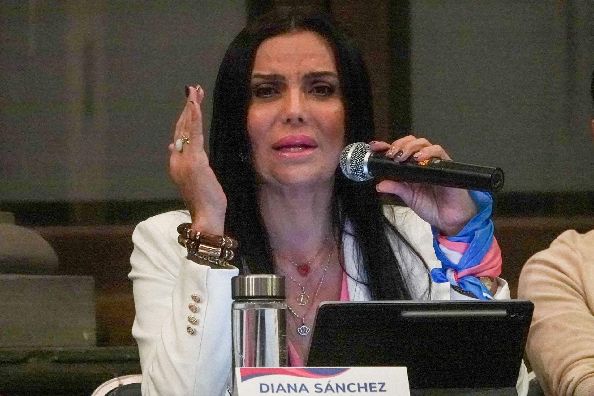 Diana Sánchez Barrios