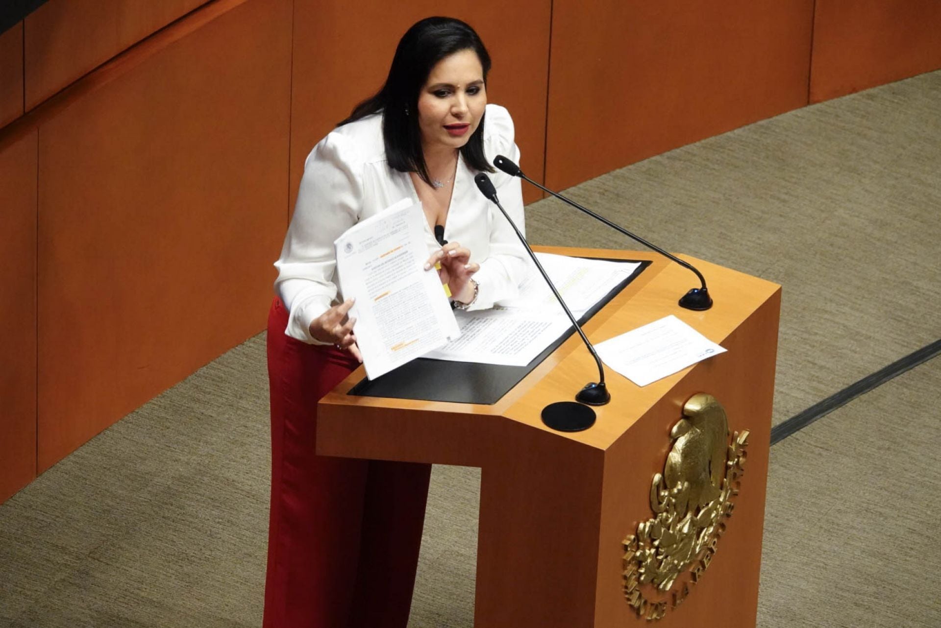 Mayuli Martínez Simón, senadora del PAN