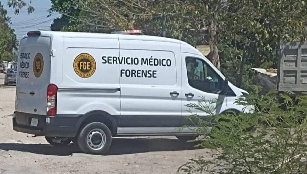 Hallan hieleras con presuntos restos humanos en Coatzacoalcos