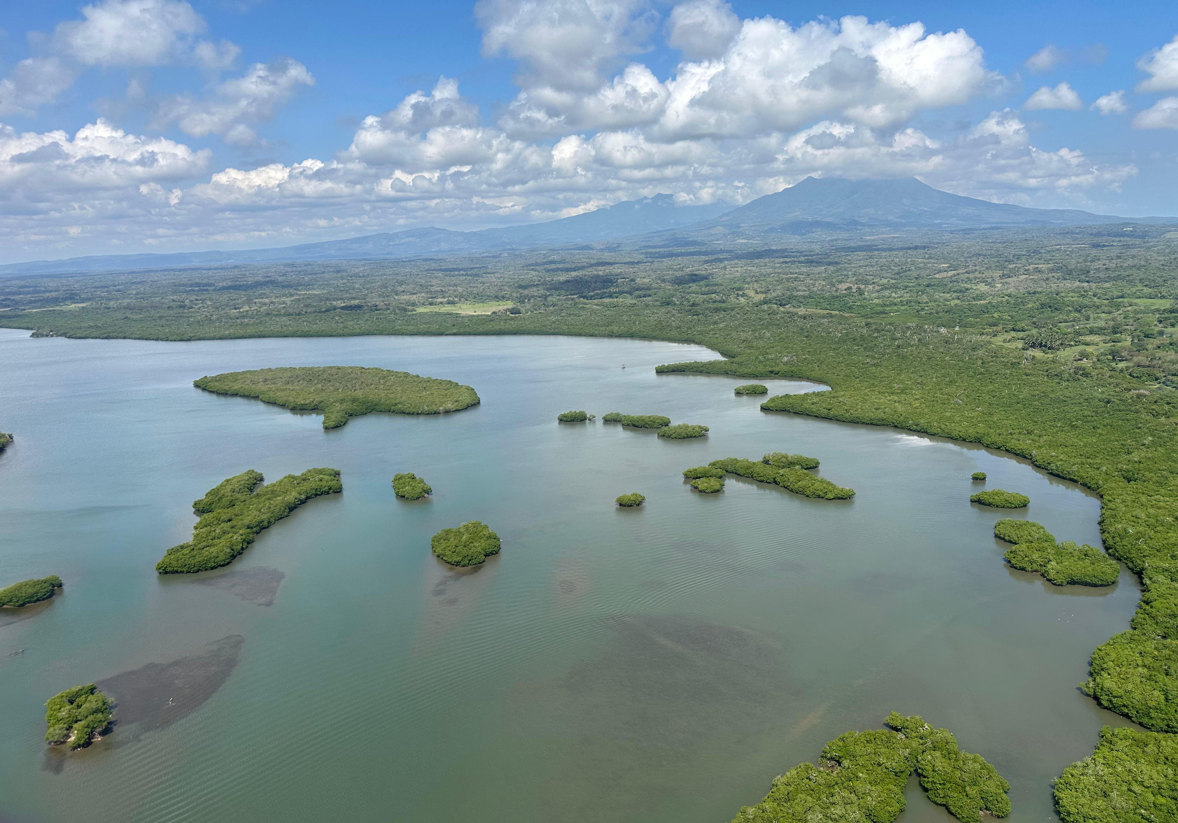 Arrecifes del Golfo siguen sin daños severos, afirma Bárcena