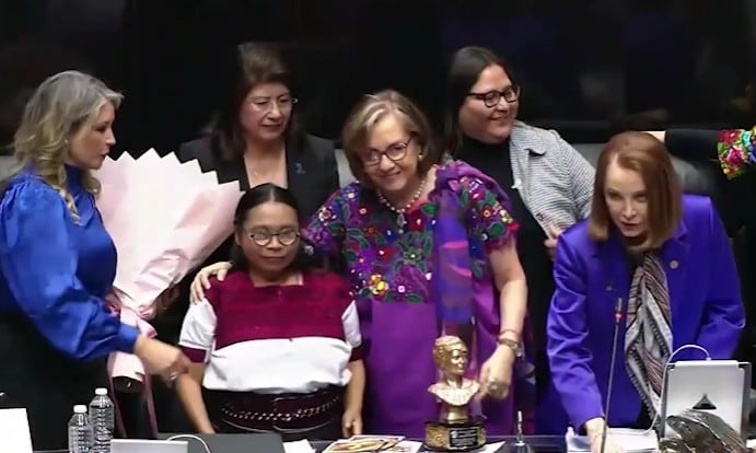 4ru4hdbc6fdb3pfnkx3zxfdk3y Cecilia López Pérez, activista de Chiapas