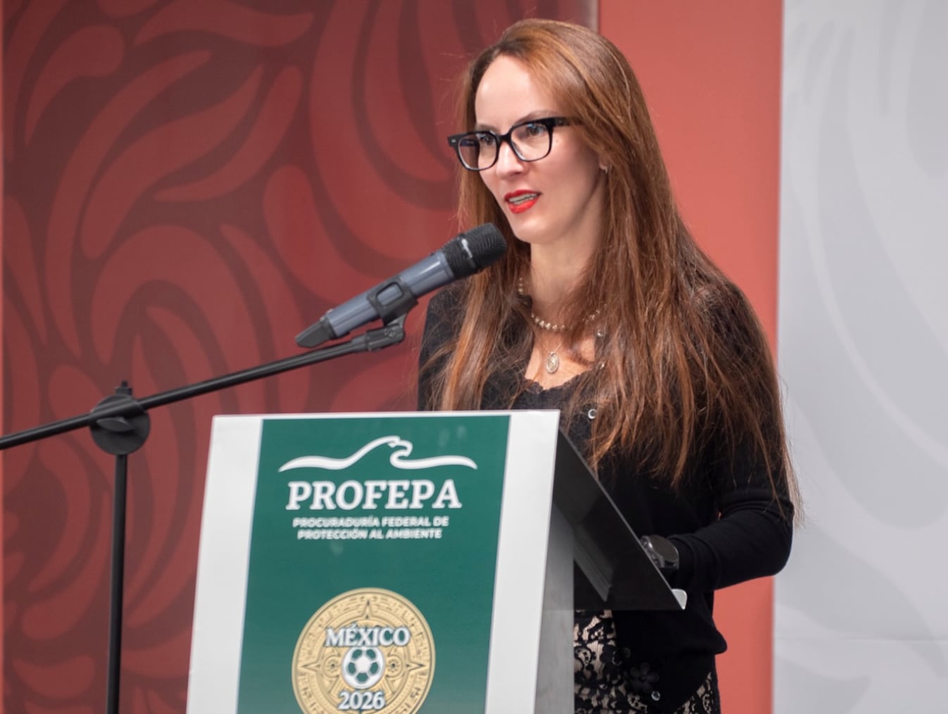 Empresas, ciudadanía y organizaciones podrán sumarse a “Gol por el Ambiente”