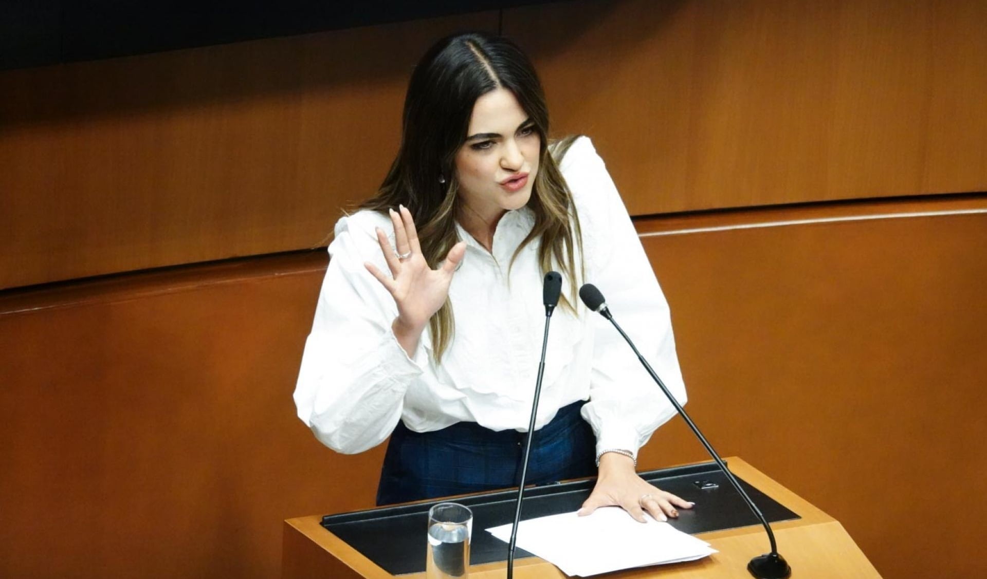 Andrea Chávez, senadora de Morena