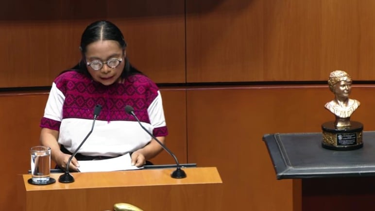 ansk3monr5bc3f67zvhpdegh64-1 Cecilia López Pérez, activista de Chiapas