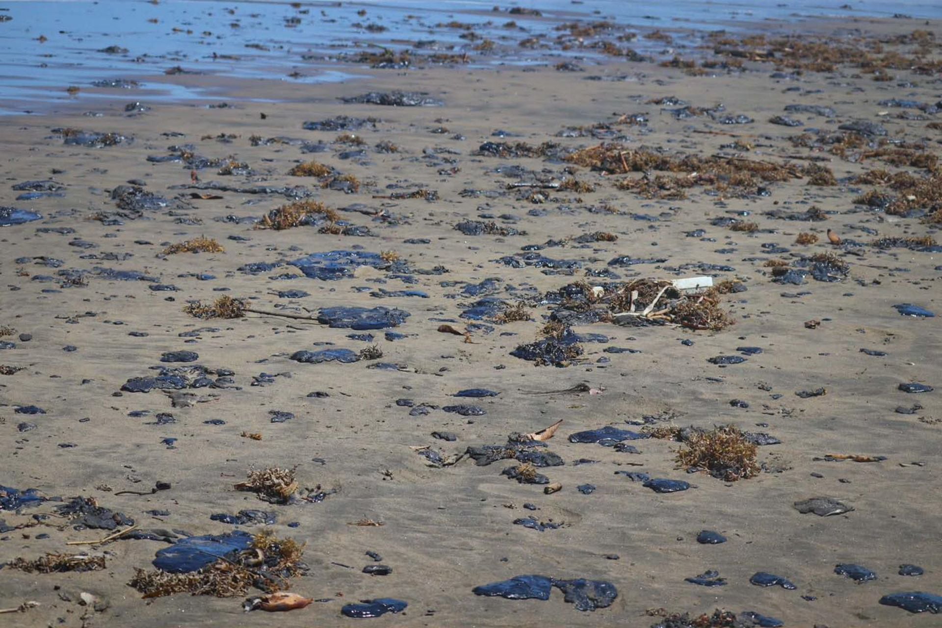 Derrame de hidrocaburos en las costas de Veracruz