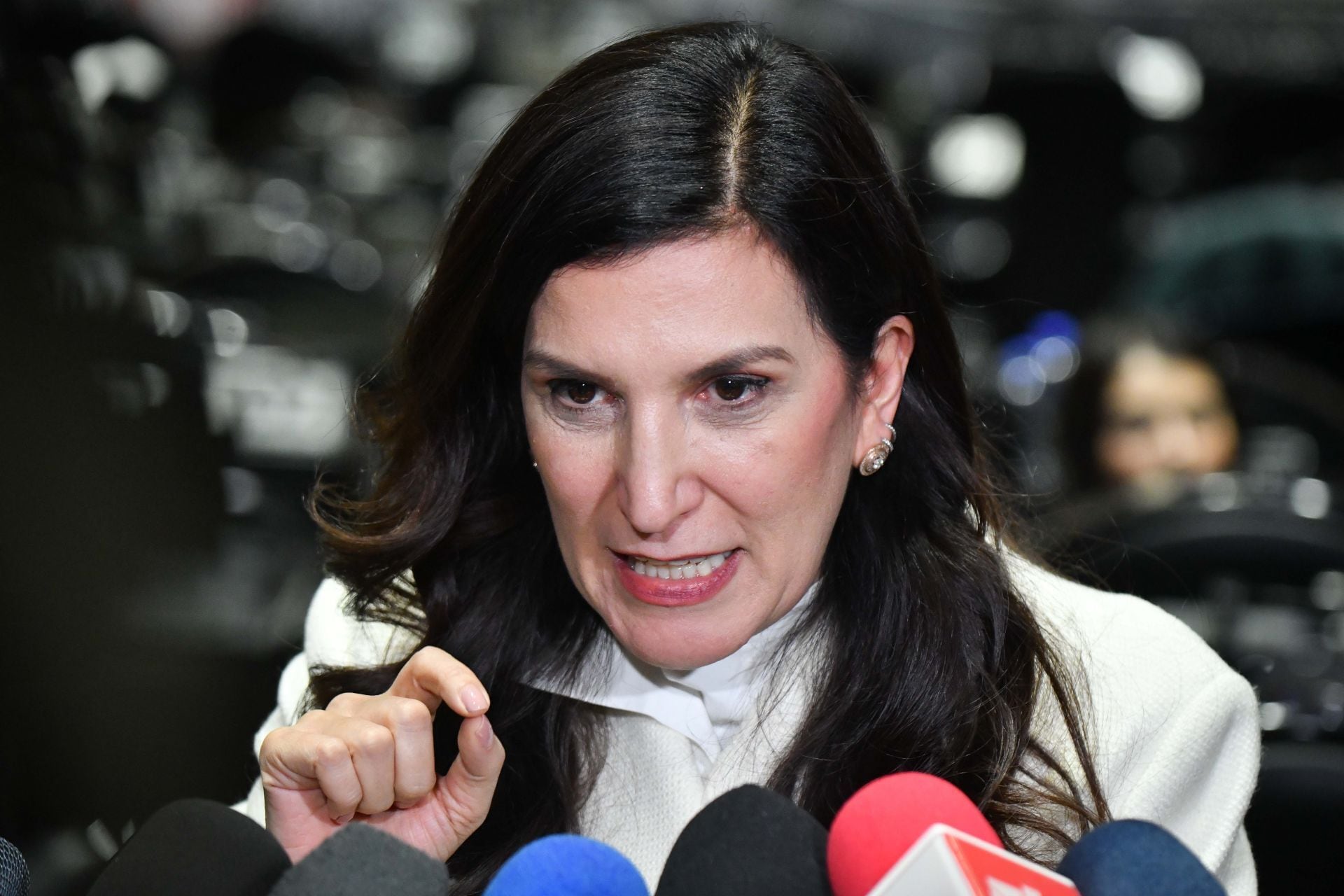 Kenia López Rabadán, presidenta de la mesa directiva de la Cámara de Diputados.