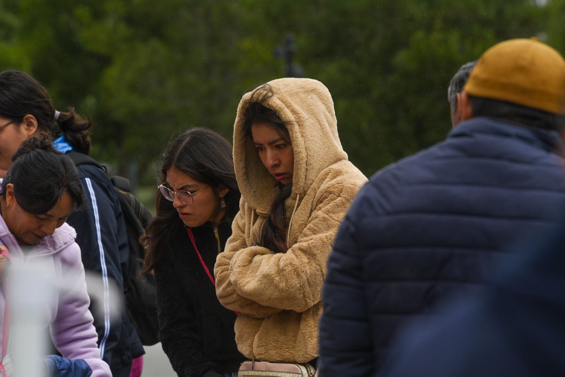 ef25akuhwzfh3caweal7lb3j4q Frente Frío 14: se esperan heladas la madrugada del 16 de noviembre en estos estados