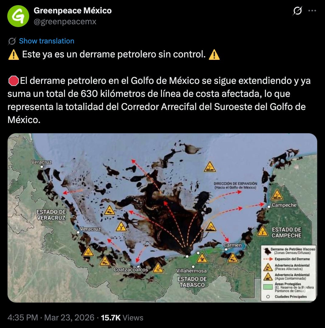 Greenpeace alerta daños en arrecifes del Golfo de México por derrame de petróleo