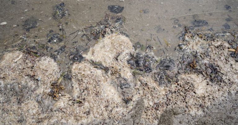 fxityz5pynairbsgx7duo7ta7q