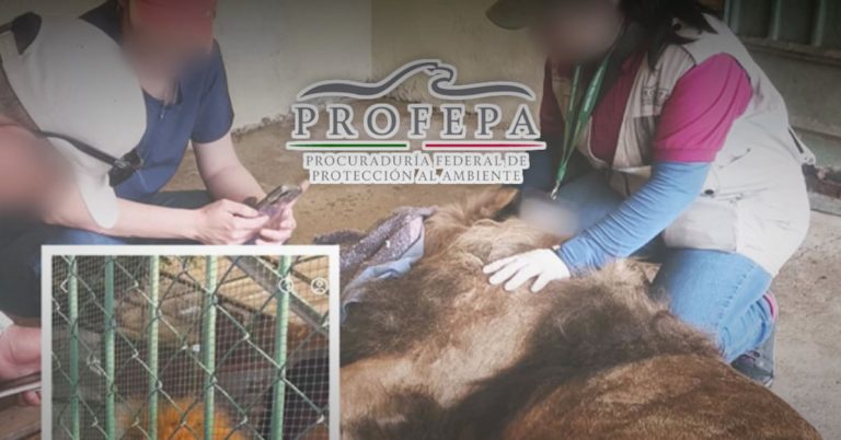 g5lqwjvrofca7itgi7iojphgsy