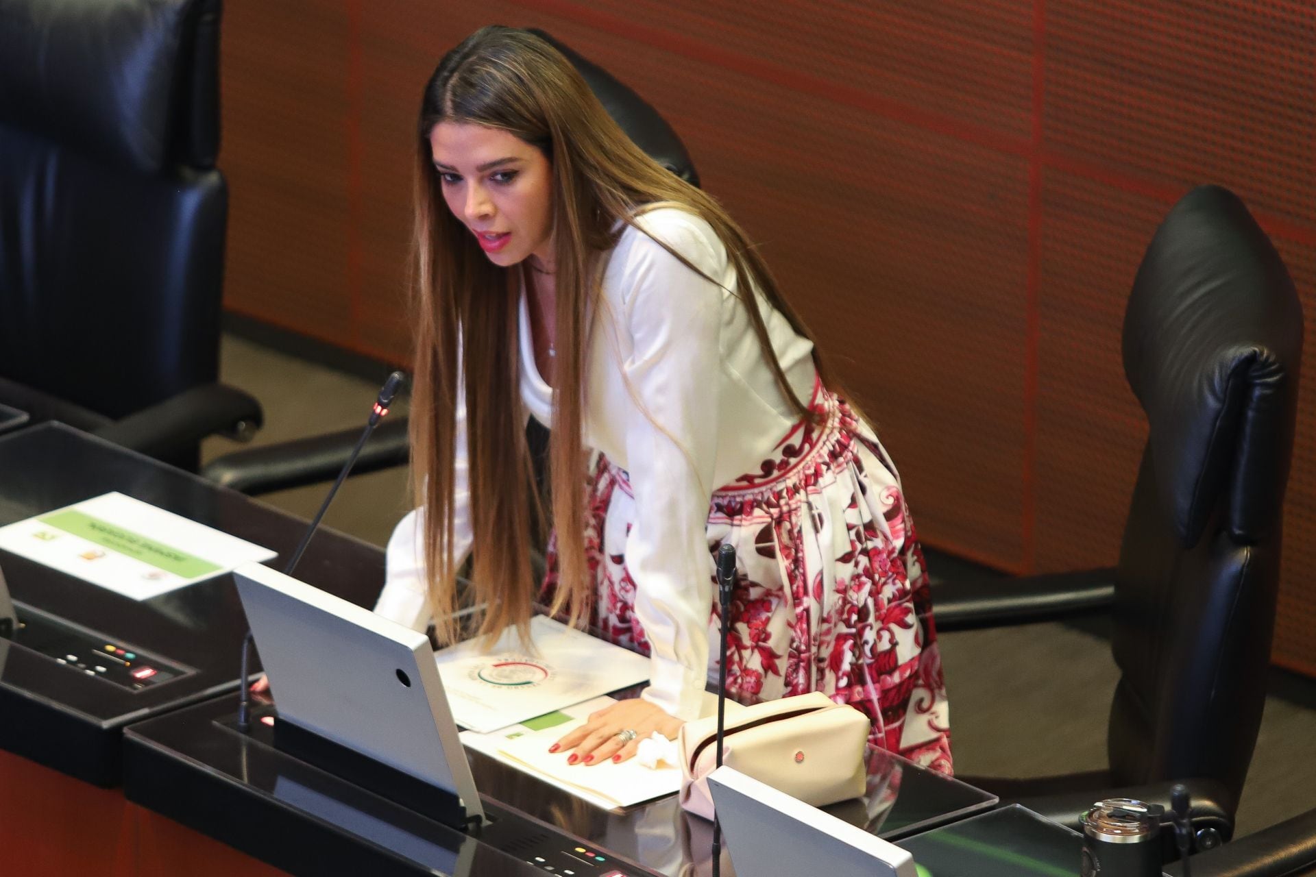 Ruth Miriam González Silva, senadora del Partido Verde