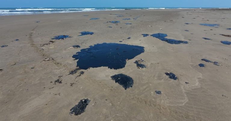 op3nnvhw6van5bg7skozyomaju-1