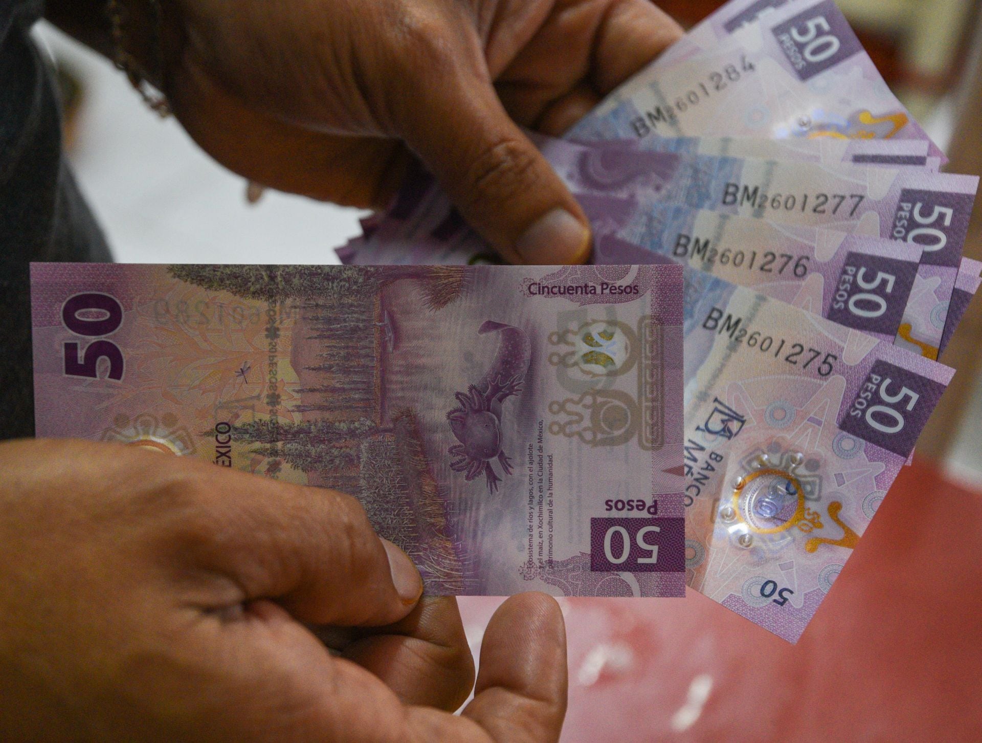 El salario mínimo en México equivale a nueve mil 582.47 pesos mensuales a partir de este 1 de enero de 2026