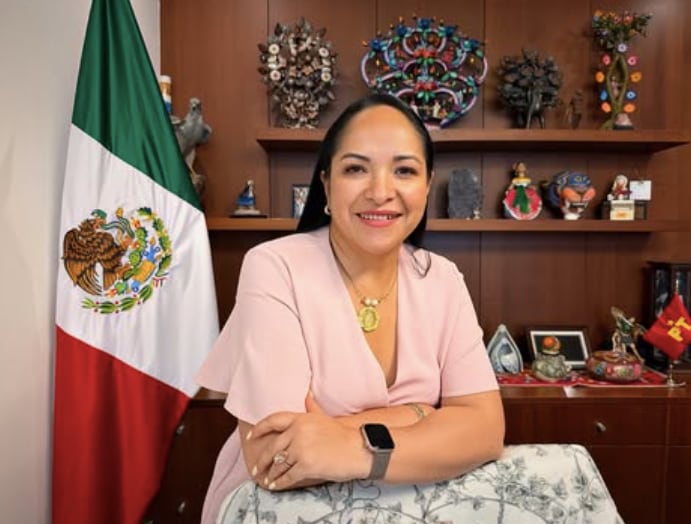 rbxi46gymbadrizks2m245b7fe Lizeth Sánchez García. Senadora del PT