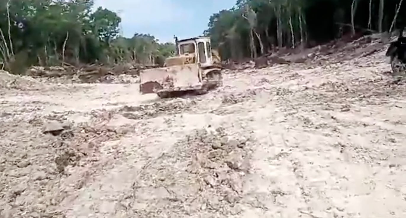 INAH denuncia destrucción de monumentos mayas en obras del Tren Maya