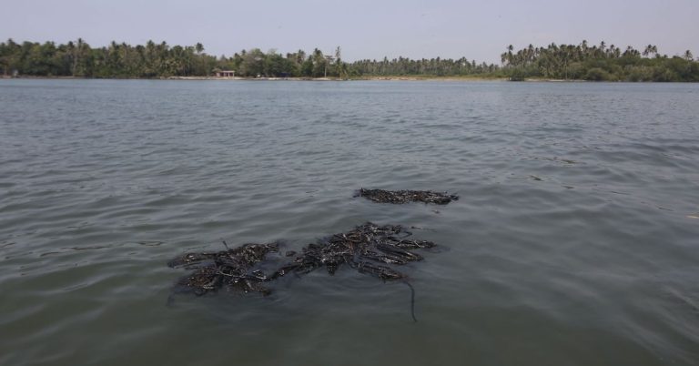 uy2ckk5u35bu7asr4fkvvpur4a