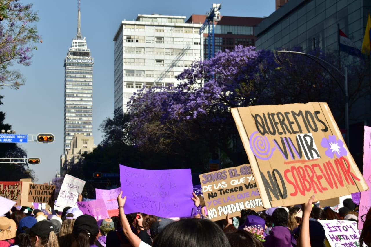 voowrod2drhufkfgp6csgxfv6y Fotos de la marcha del 8M 2024 en la CDMX: Si fuiste, seguro estás aquí