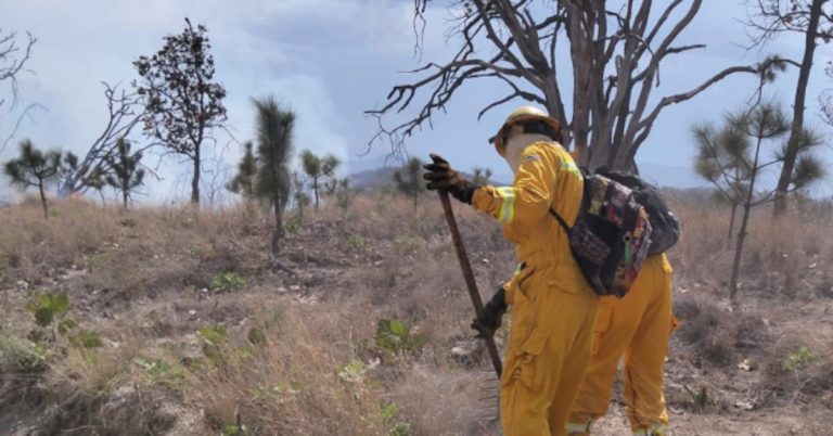 vzb6pih4kvgdra3slrdfqf6r7y