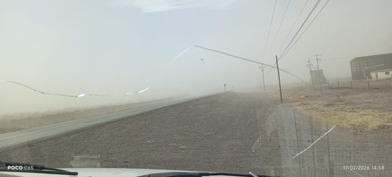 whatsapp20image202026-02-1720at203-34-4720pm