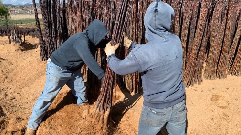 whatsapp20image202026-03-0920at202-53-4320pm