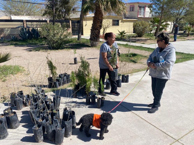 whatsapp20image202026-03-1120at2012-35-5220pm2028129