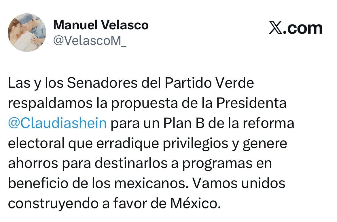 x7pj6lxedfatlh2fgcx6ggkriy Partido Verde ve coincidencias con el Plan B en estos puntos
