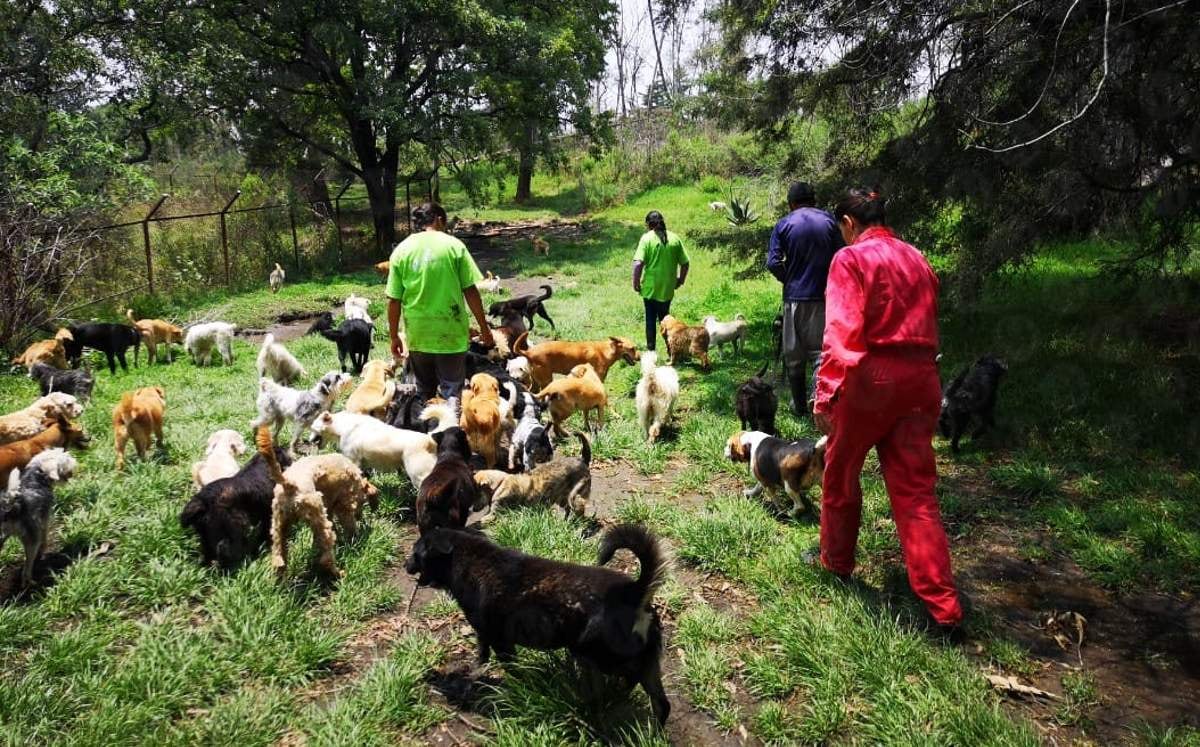 Refugio Franciscano acusa a Fundación Haghenbeck de desalojo por desarrollo inmobiliario