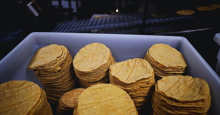 yw2kgzxf4fdp7ftwieyvtpg3ty