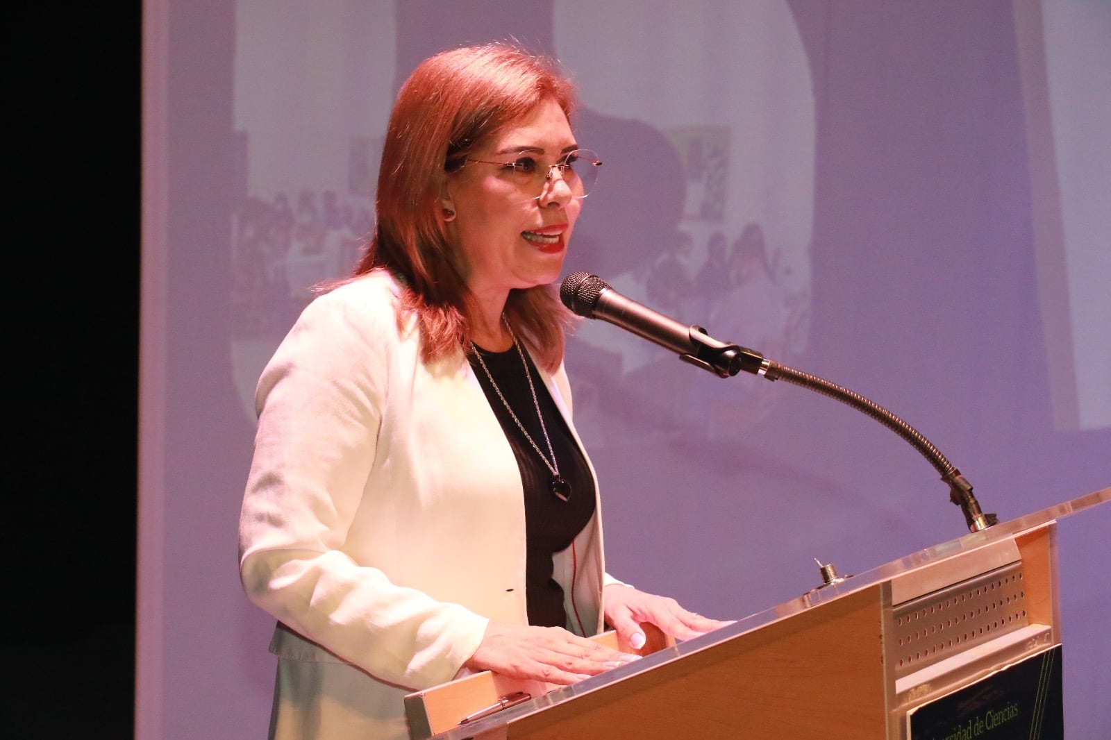 ¿Quién es Rosa Aidé Domínguez Ochoa?