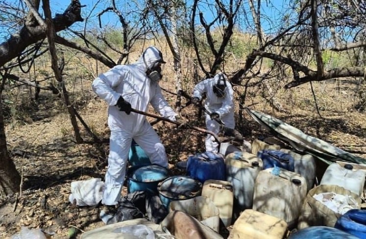 Marina desmantela narcolaboratorio vinculado a Los Chapitos en Sinaloa