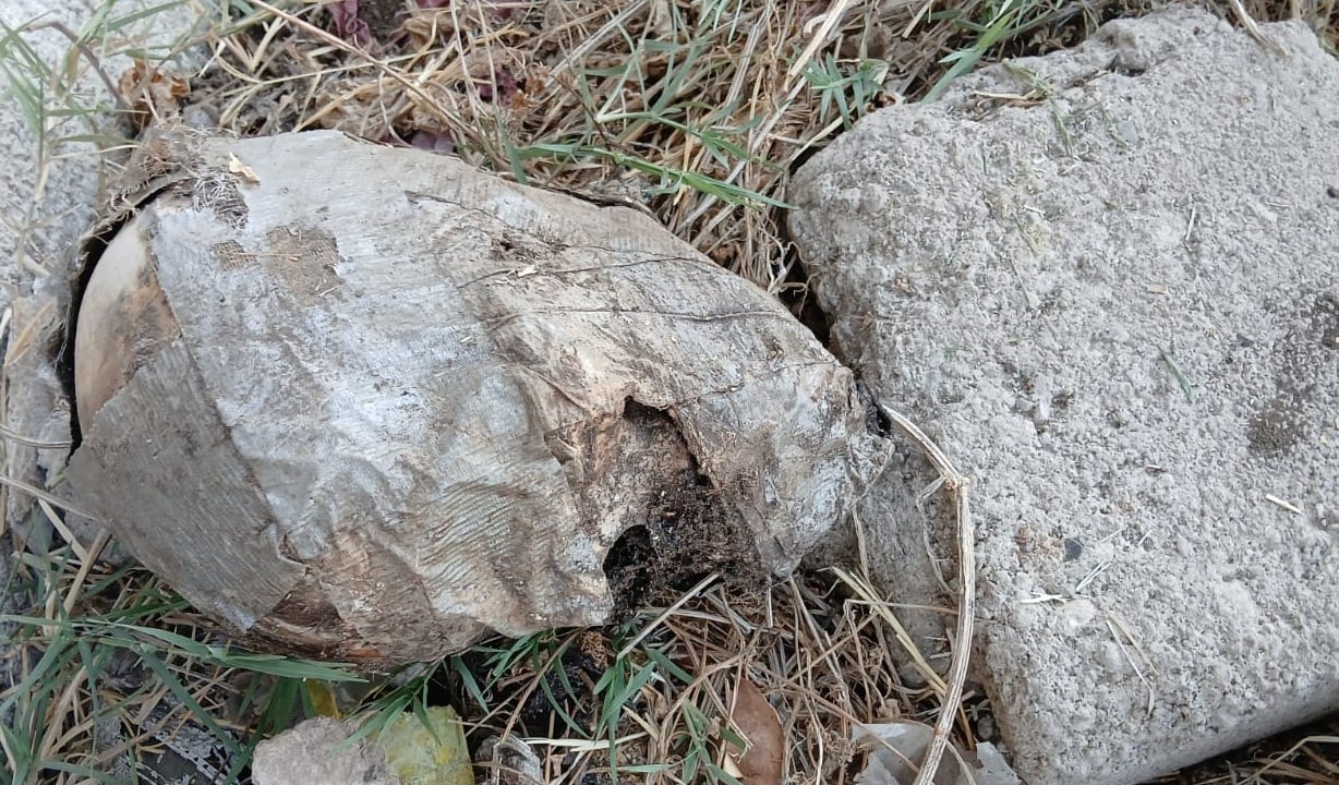 Madres buscadoras de Jalisco localizan fosa clandestino en El Salto