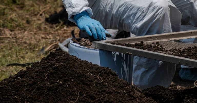 lqr6uxtzlfdgtayz6xzesxtr2q