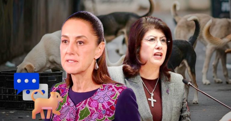 n35ndieev5bb7gjejeghdvj77e