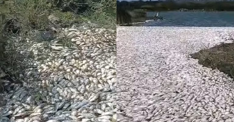 n43cmc6ygvcvto5hvqcbpe22bi