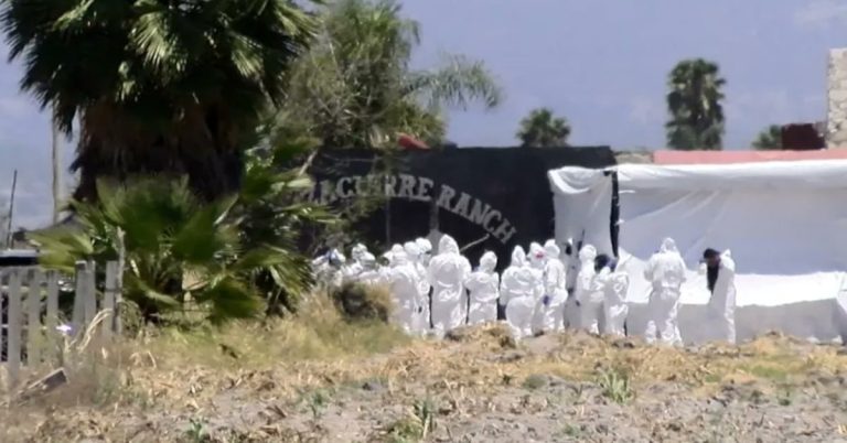 sy232qodzned3oq7bulilwsr7m