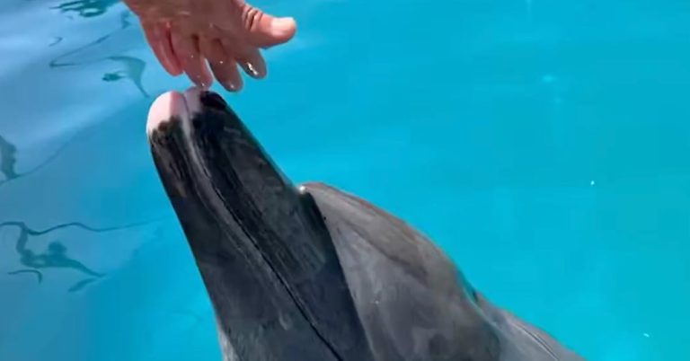 tetg6rui7fgw5mraq7oesmtvg4-1